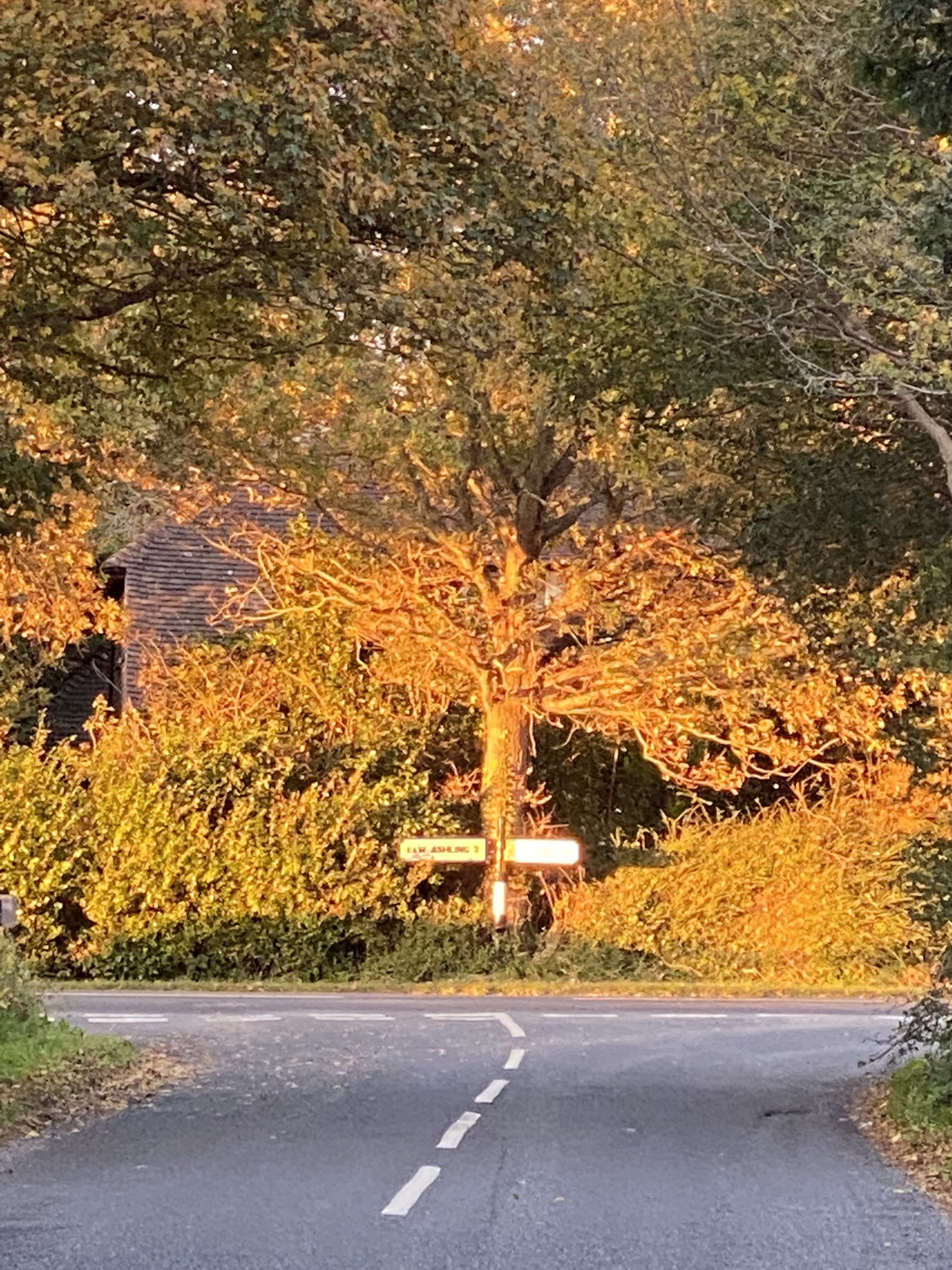 Autumn Wellbeing: How to Slow Down and Feel More Content